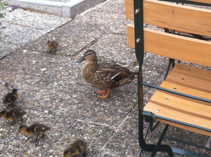 14443814200 5e17d77e11 o