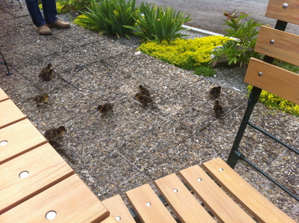 14443860749 f56901e934 o