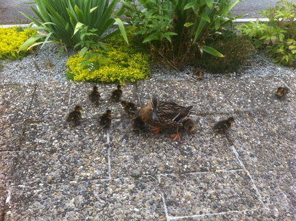 14627222281 b8c5564816 o