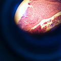 14628359654 b17e835890 o